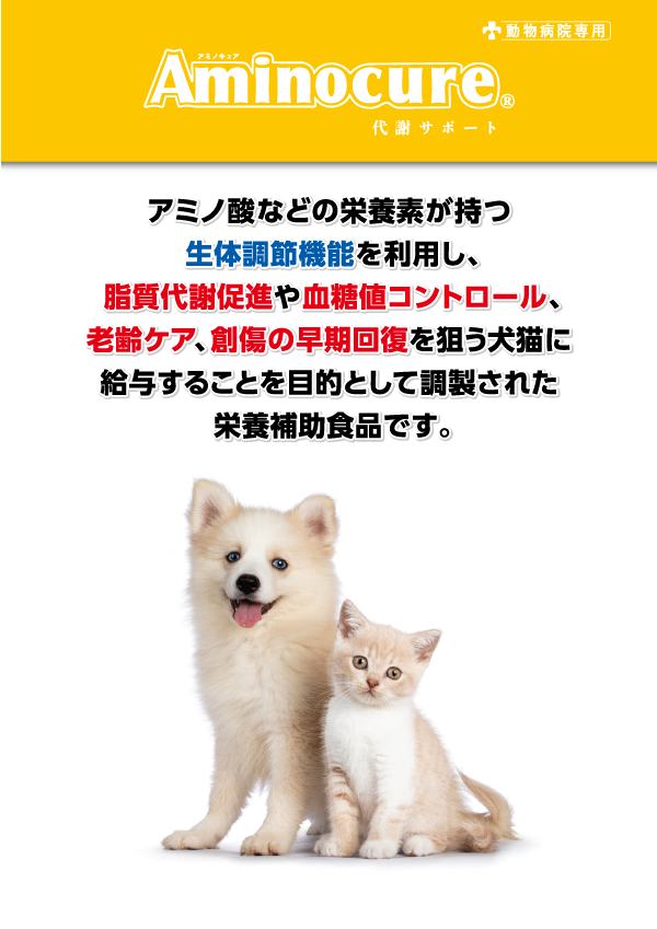 資料プレビュー