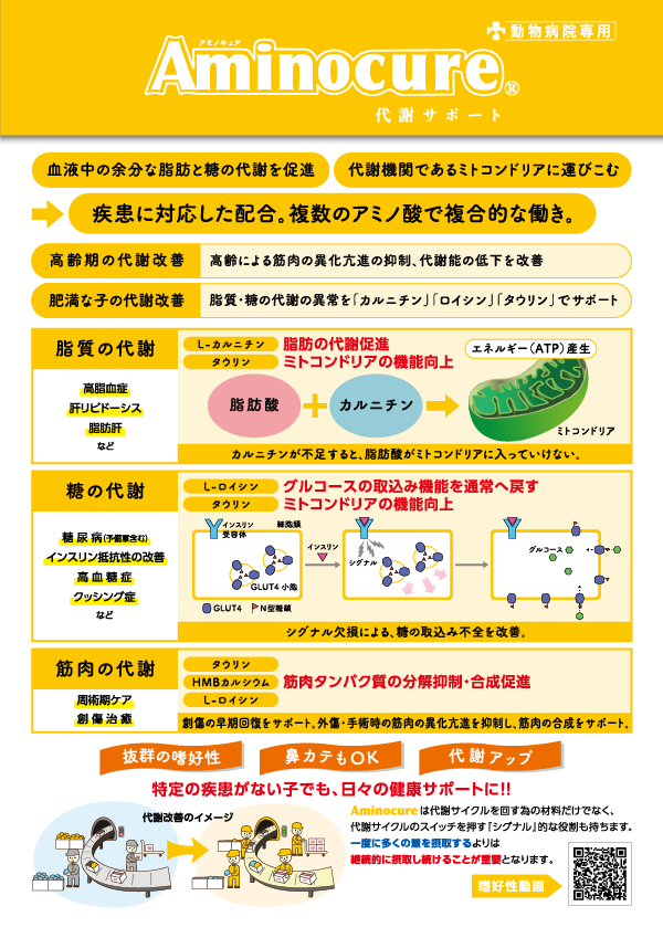 資料プレビュー